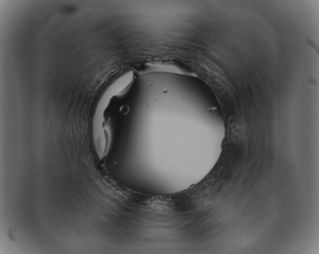 X0000091230756200709061519