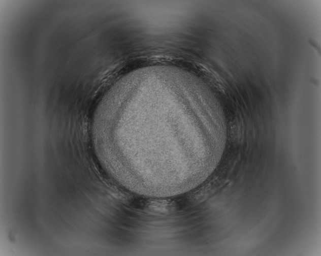 X0000091230757200709061519