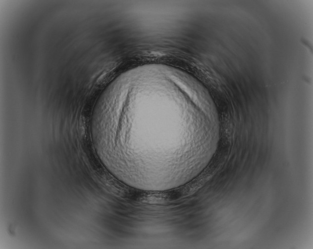 X0000091230758200709061519