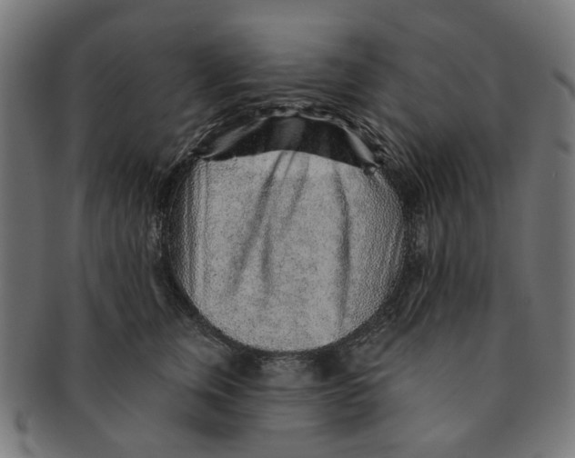 X0000091230759200709061519