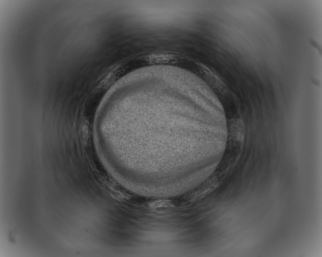 X0000091230761200709061519