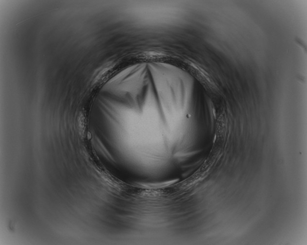 X0000091230762200709061519