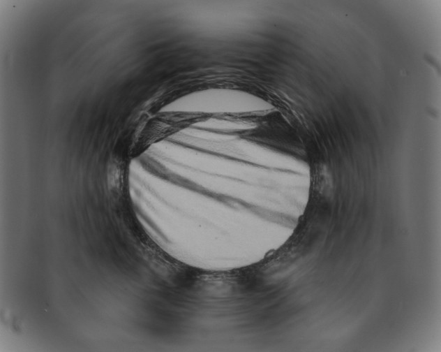 X0000091230763200709061519
