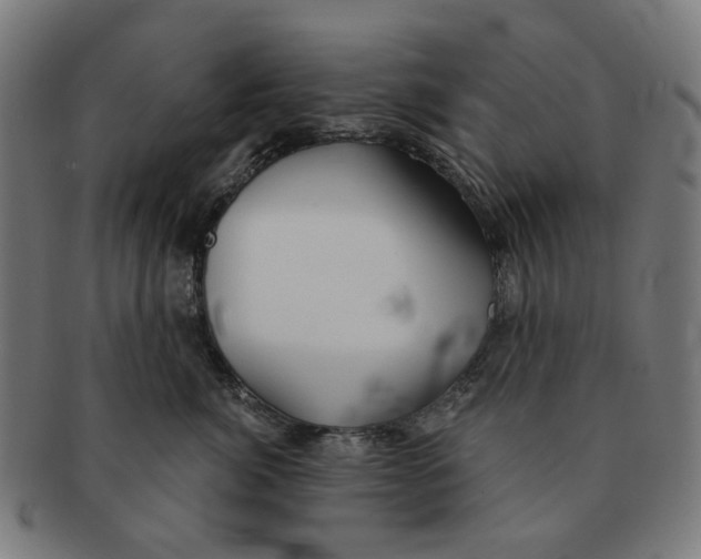 X0000091230764200709061519