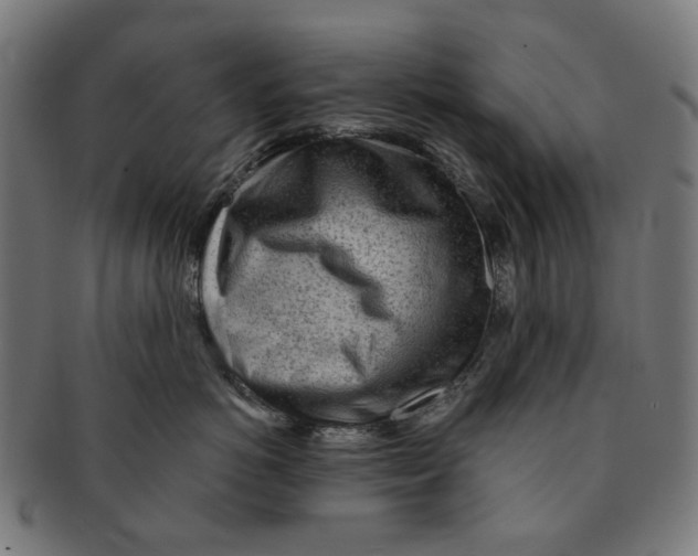 X0000091230766200709061519