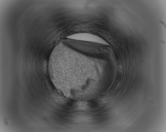 X0000091230767200709061519