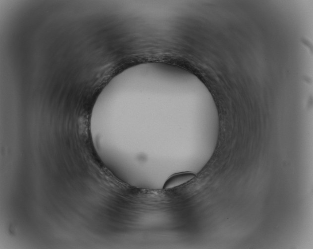 X0000091230768200709061519