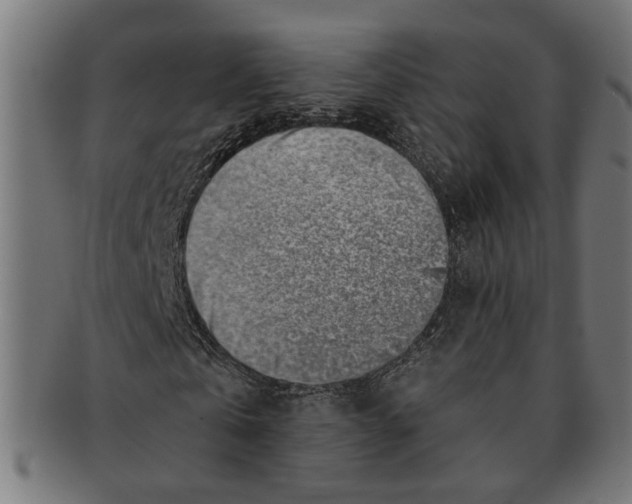 X0000091230769200709061518