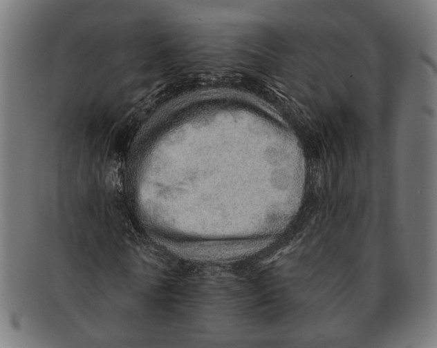 X0000091230770200709061518