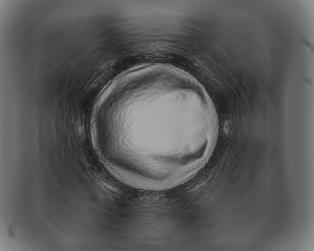 X0000091230771200709061518