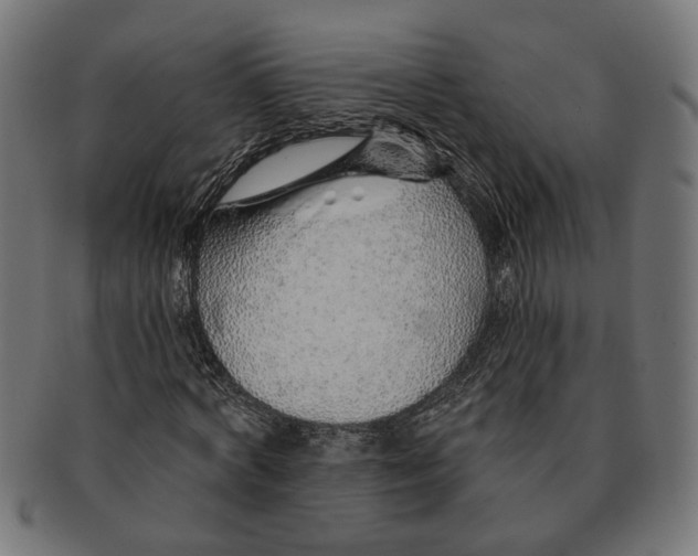 X0000091230772200709061518
