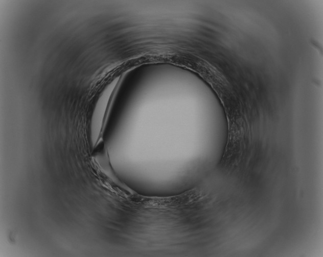 X0000091230773200709061518