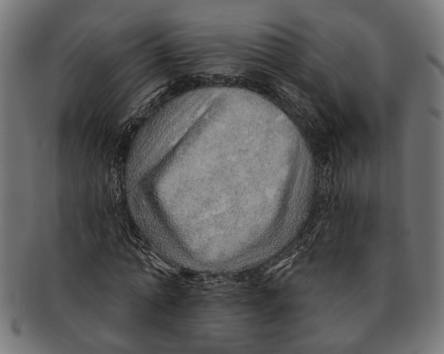 X0000091230774200709061518