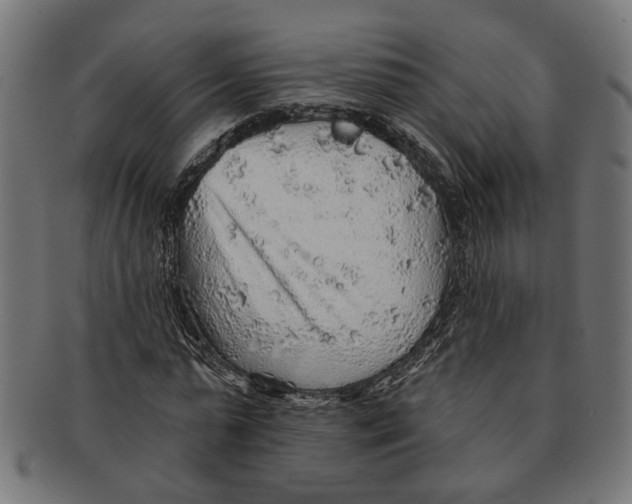 X0000091230775200709061518