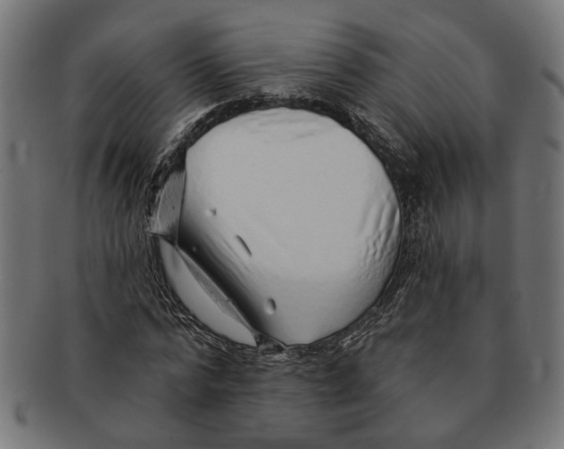 X0000091230776200709061518
