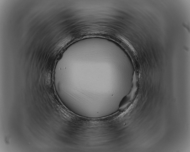 X0000091230777200709061518