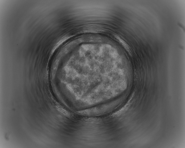 X0000091230779200709061518