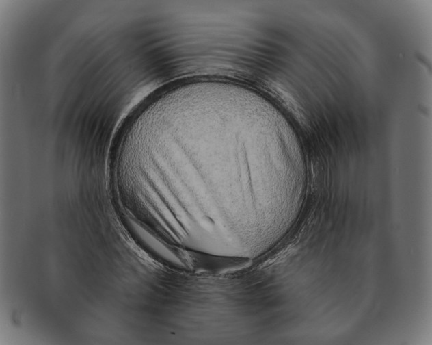 X0000091230780200709061518