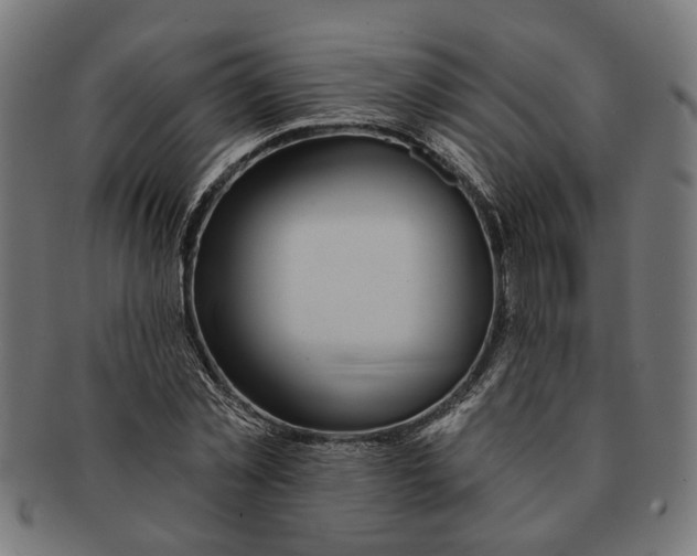 X0000091230781200709061518
