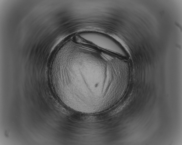 X0000091230783200709061518