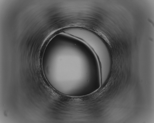 X0000091230784200709061518