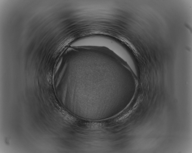 X0000091230785200709061518