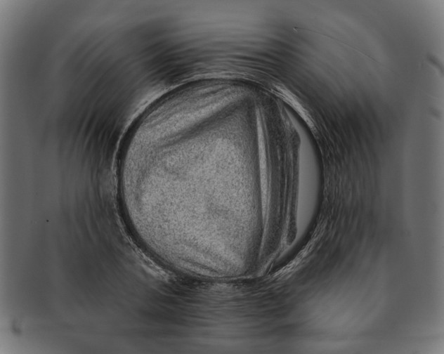 X0000091230787200709061518