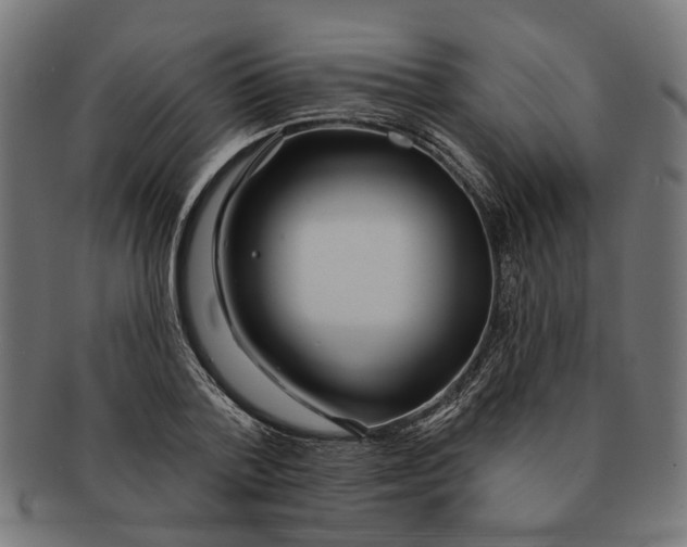 X0000091230788200709061518
