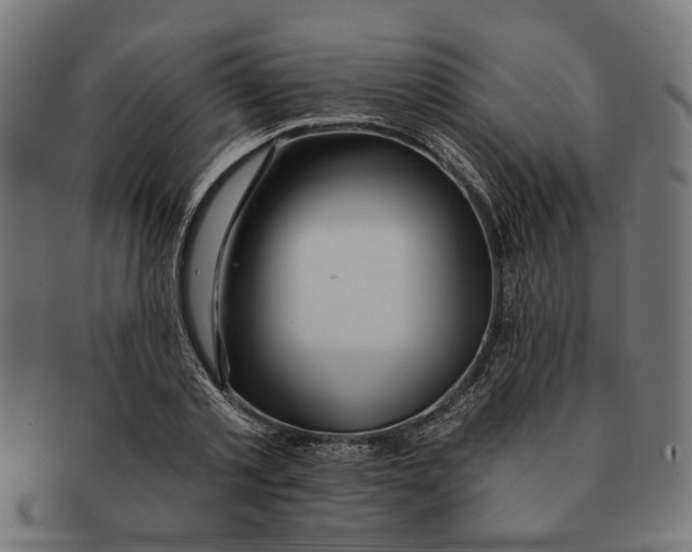 X0000091230789200709061518