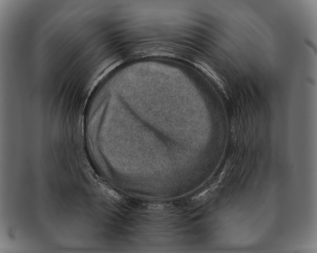 X0000091230790200709061518