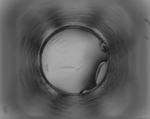 X0000091230791200709061518