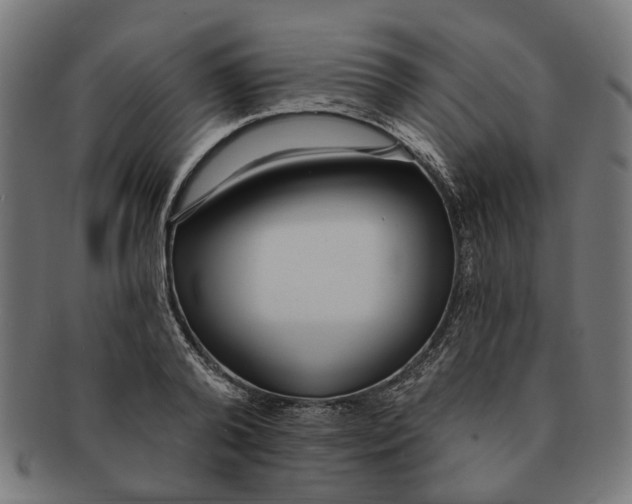 X0000091230792200709061518