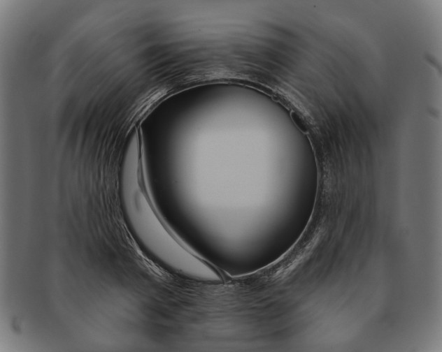 X0000091230793200709061518