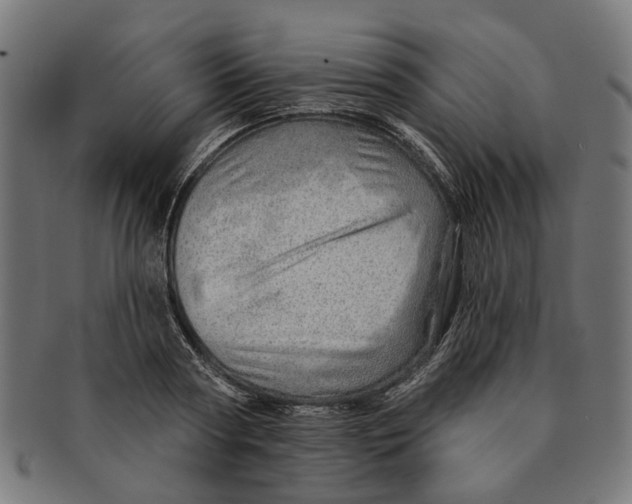 X0000091230794200709061518