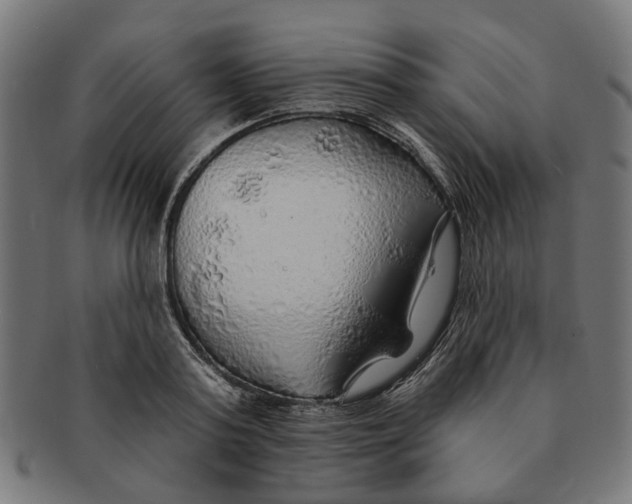 X0000091230795200709061518
