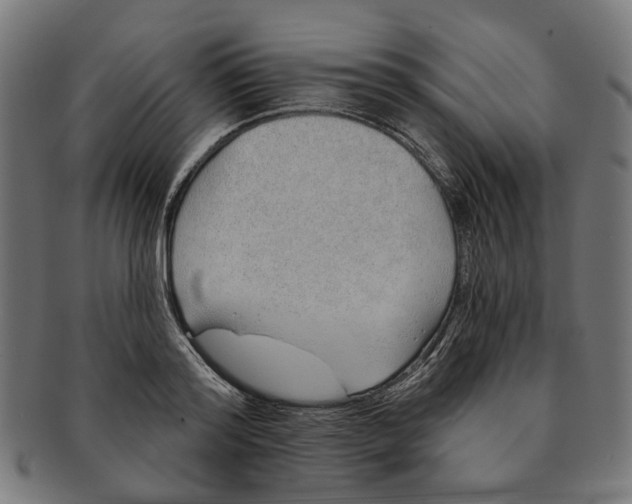 X0000091230796200709061518