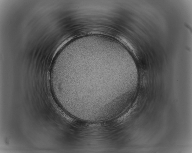X0000091230798200709061518