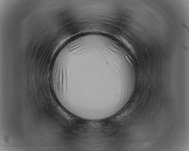 X0000091230799200709061518