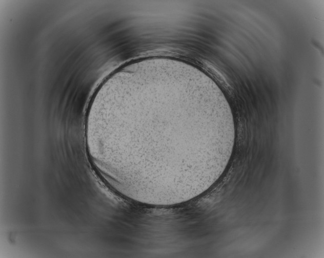 X0000091230800200709061518