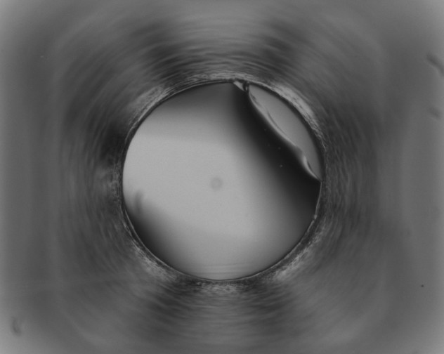 X0000091230801200709061518