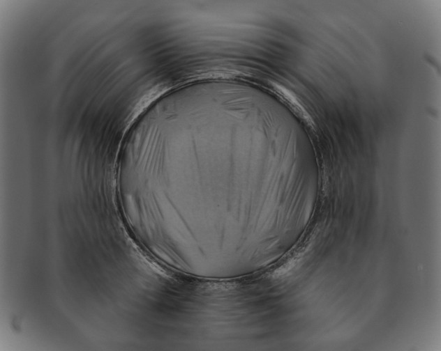 X0000091230802200709061518