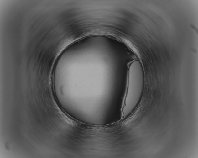 X0000091230803200709061518