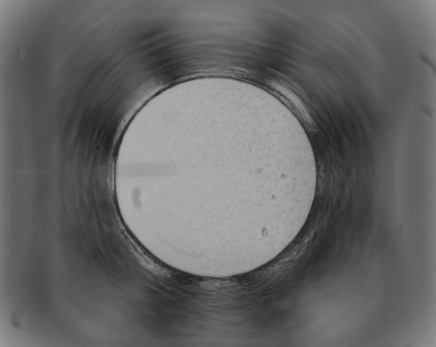 X0000091230804200709061518