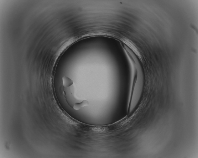 X0000091230805200709061518