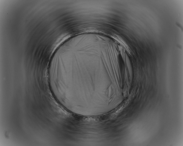 X0000091230806200709061518