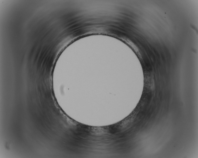 X0000091230807200709061518