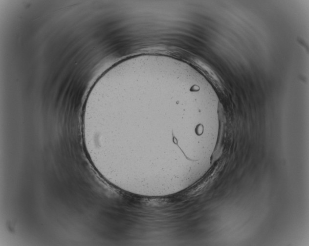 X0000091230808200709061518