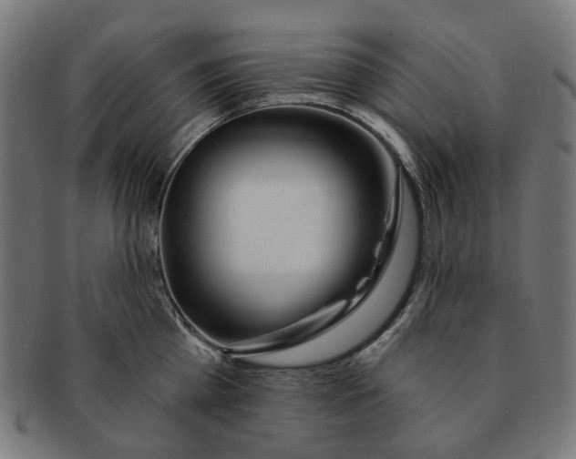 X0000091230809200709061518