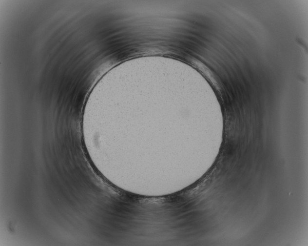 X0000091230810200709061518