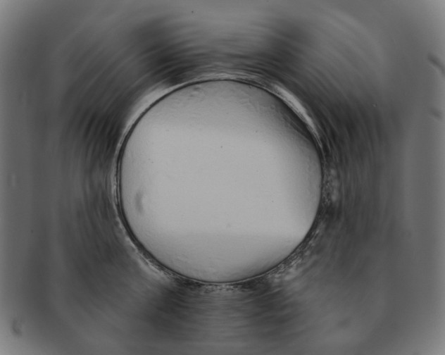 X0000091230811200709061518